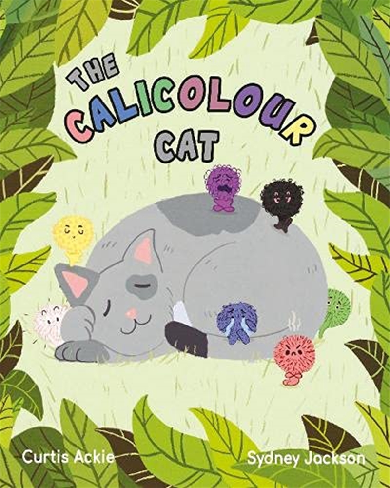 The Calicolour Cat/Product Detail/Childrens Fiction Books