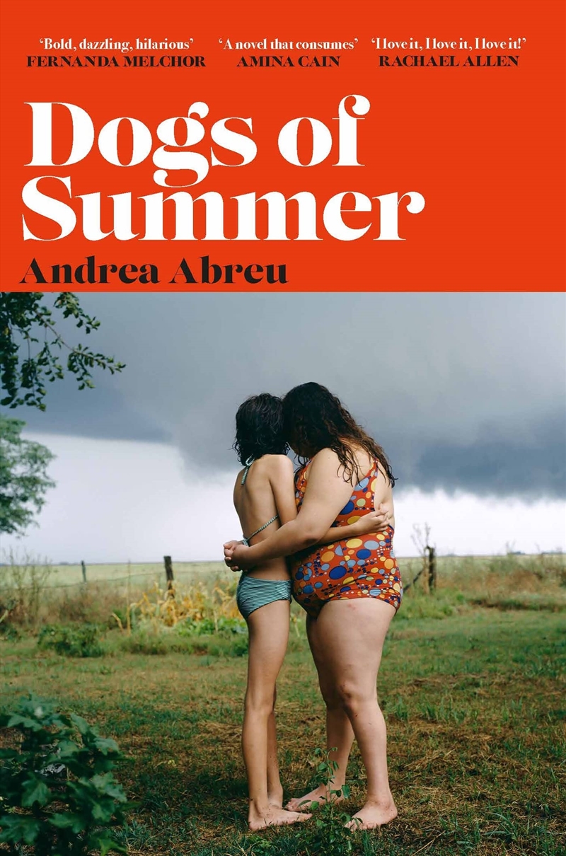 Dogs of Summer/Product Detail/General Fiction Books