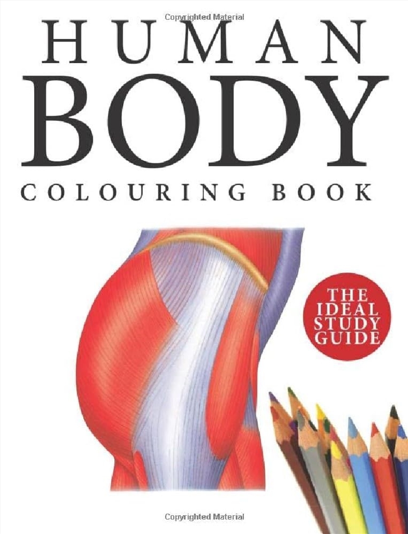 Human Body Colouring Book/Product Detail/Adults Colouring