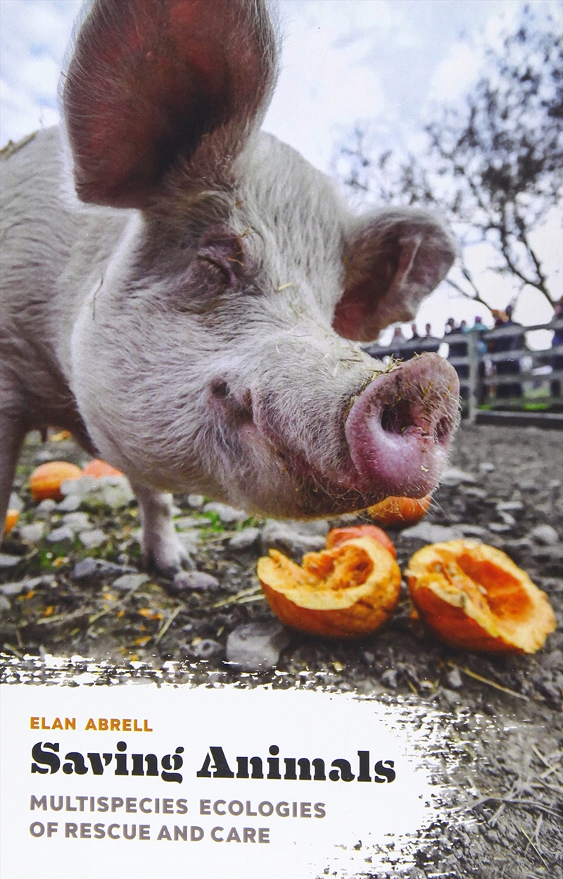 Saving Animals: Multispecies Ecologies Of Rescue And Care/Product Detail/Animals & Nature