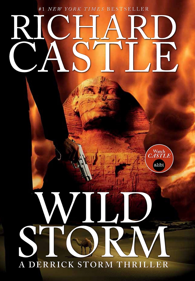 Wild Storm: A Derrick Storm Novel/Product Detail/Crime & Mystery Fiction