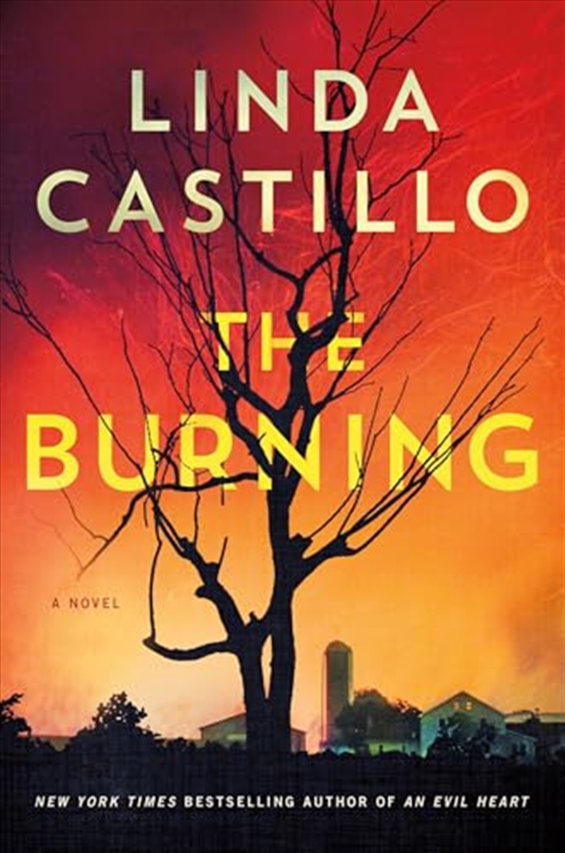 The Burning (Kate Burkholder)/Product Detail/Crime & Mystery Fiction