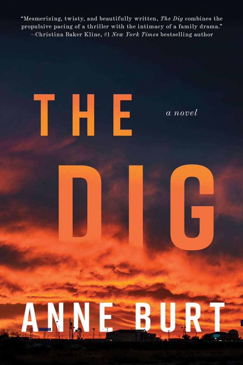 The Dig: A Novel/Product Detail/Crime & Mystery Fiction