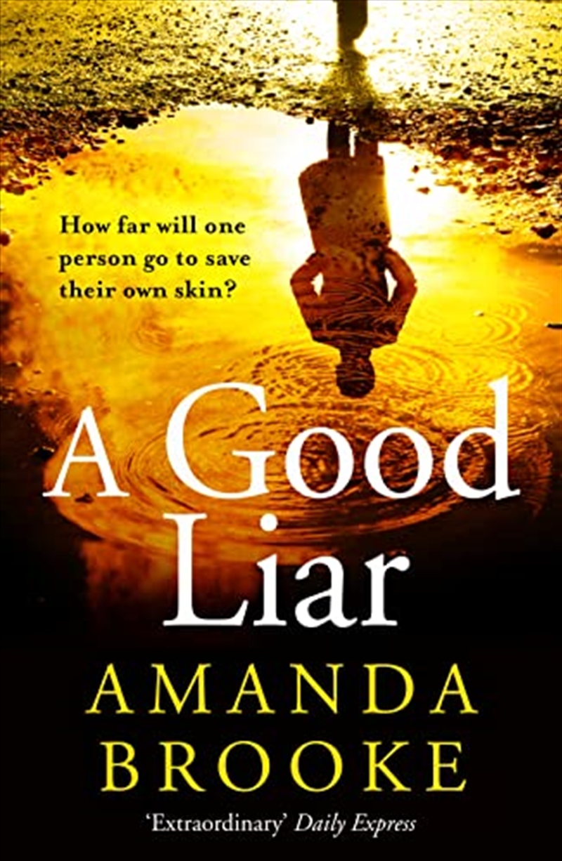 A Good Liar: A Gripping Thriller Novel Perfect For Escaping In 2021/Product Detail/Crime & Mystery Fiction