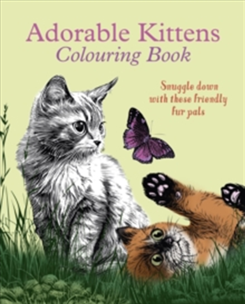 Buy Adorable Kittens Colouring Book Online | Sanity