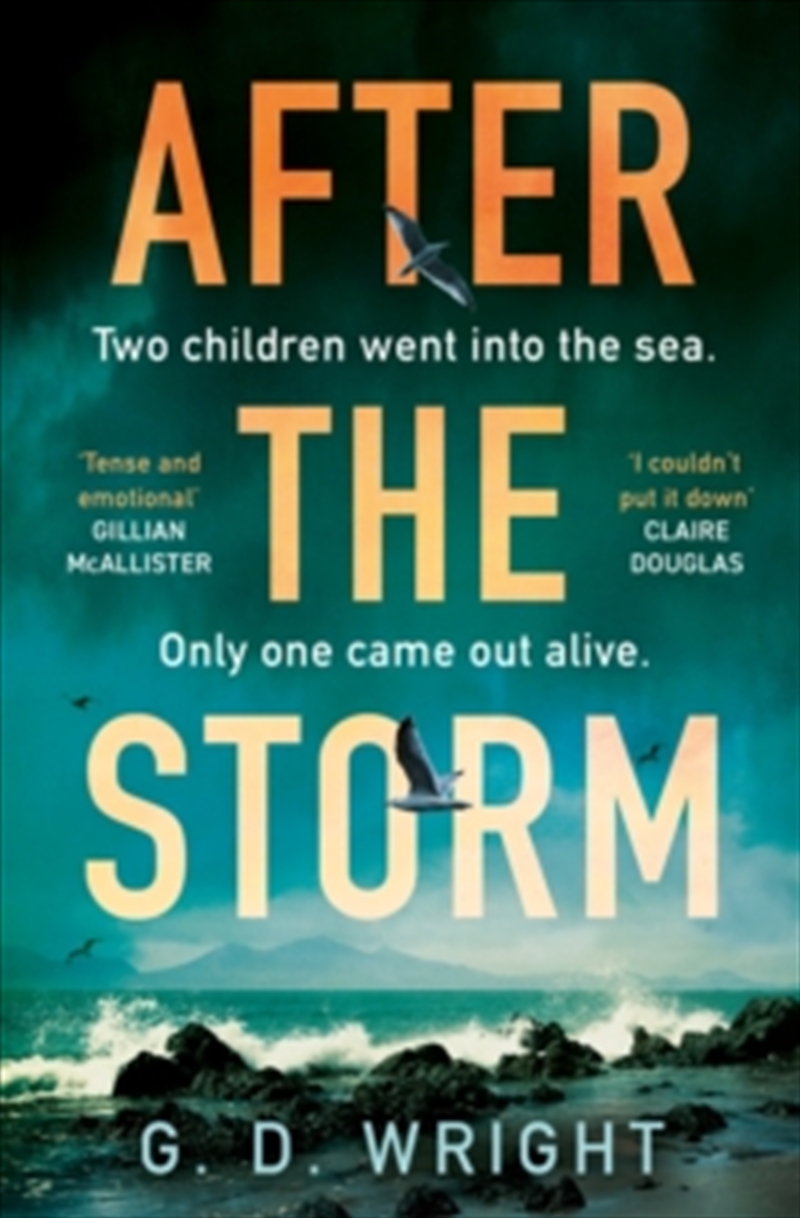 After The Storm/Product Detail/Crime & Mystery Fiction