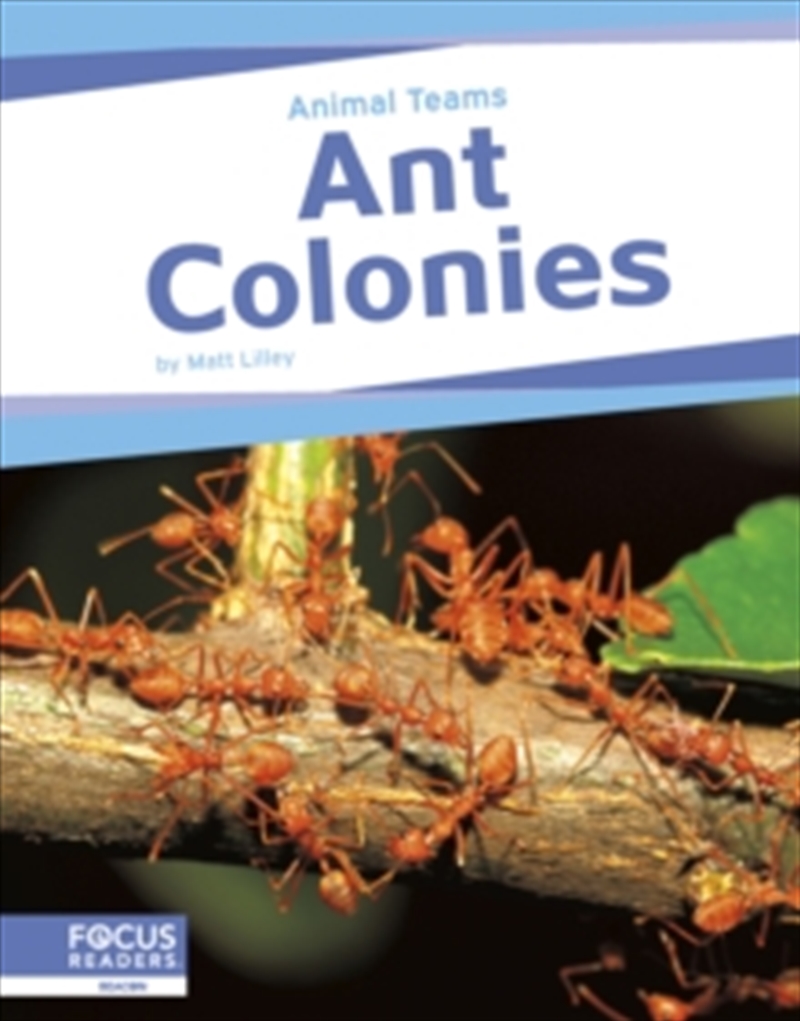Ant Colonies/Product Detail/Childrens