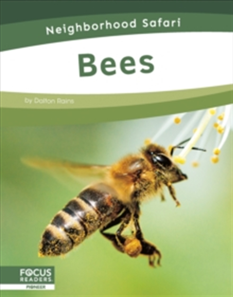 Bees/Product Detail/Childrens
