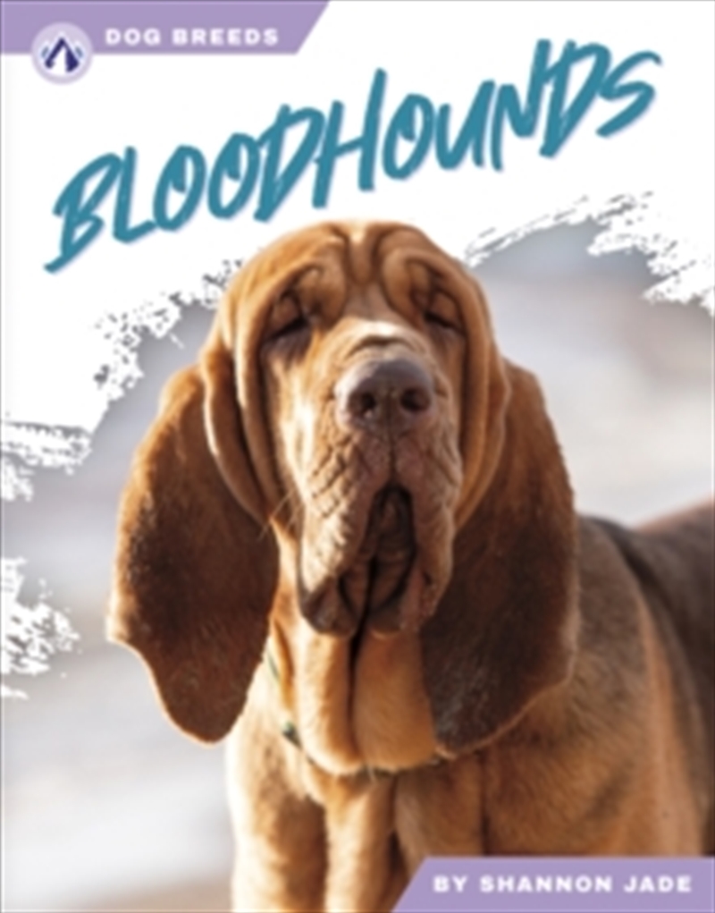 Bloodhounds/Product Detail/Childrens