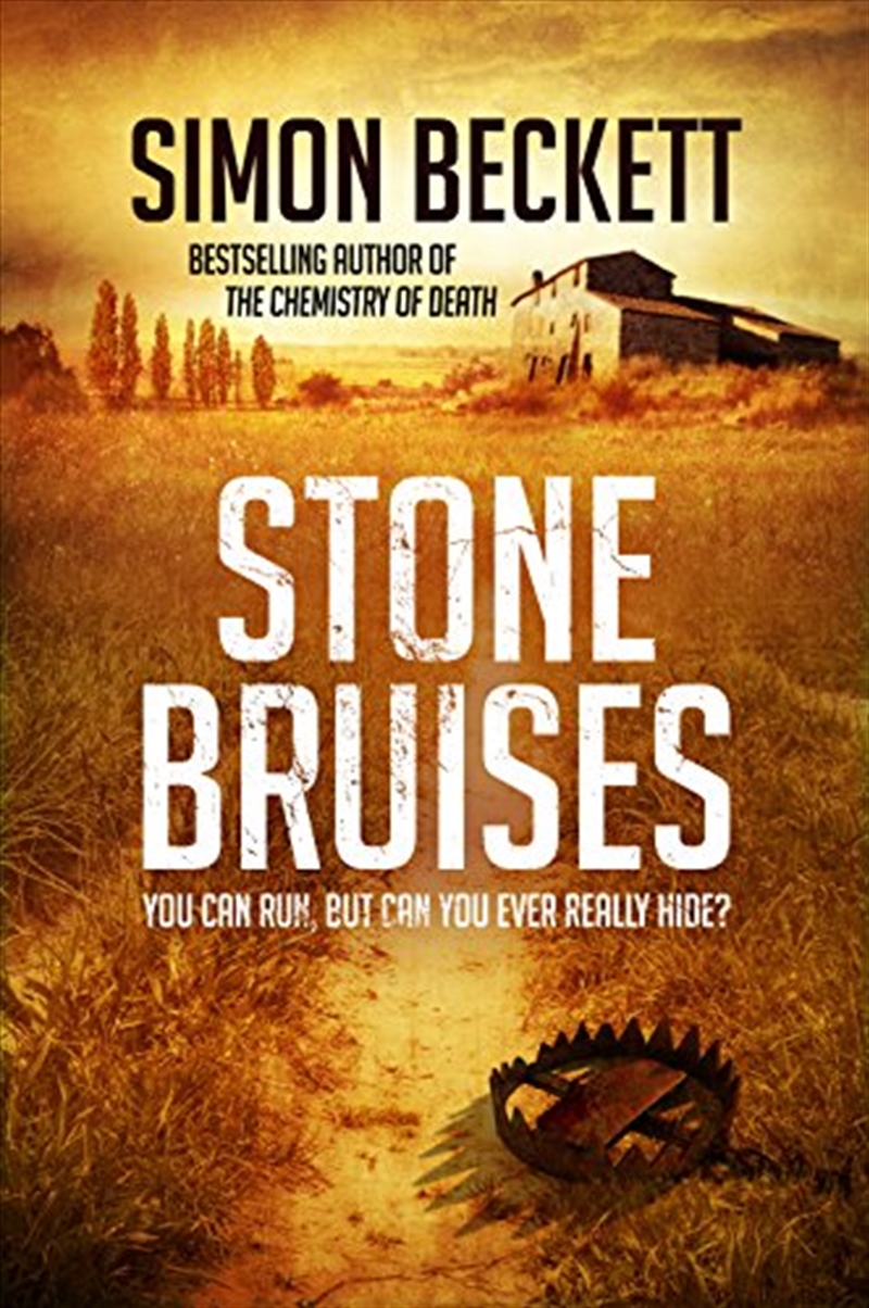 Stone Bruises: You Can Run, But Can You Ever Really Hide?/Product Detail/Crime & Mystery Fiction