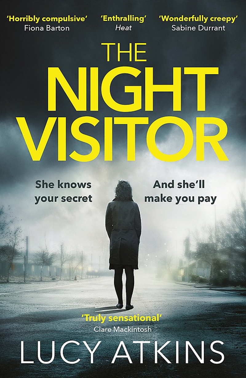 The Night Visitor/Product Detail/Crime & Mystery Fiction