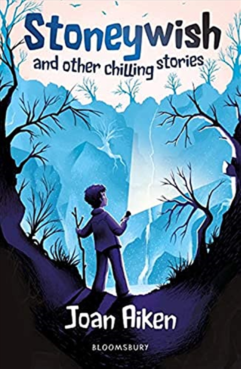 Stoneywish & Other/Product Detail/Childrens Fiction Books