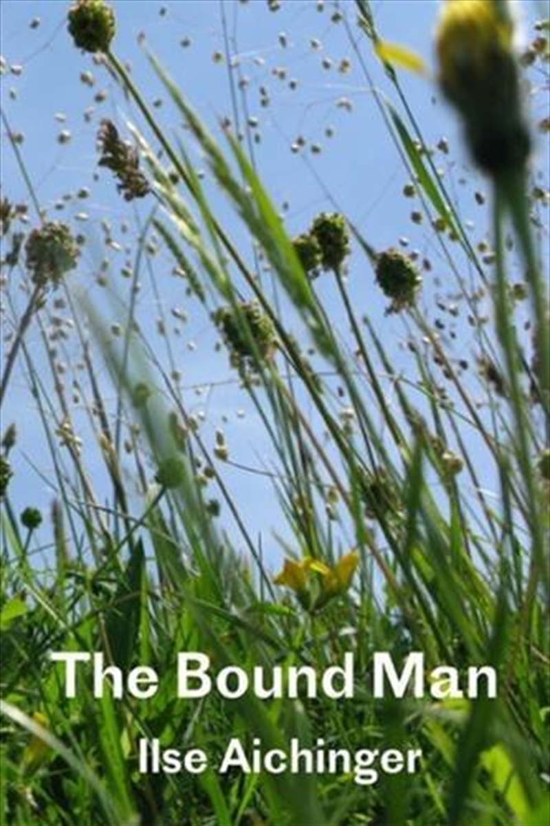 The Bound Man, And Other Stories/Product Detail/General Fiction Books