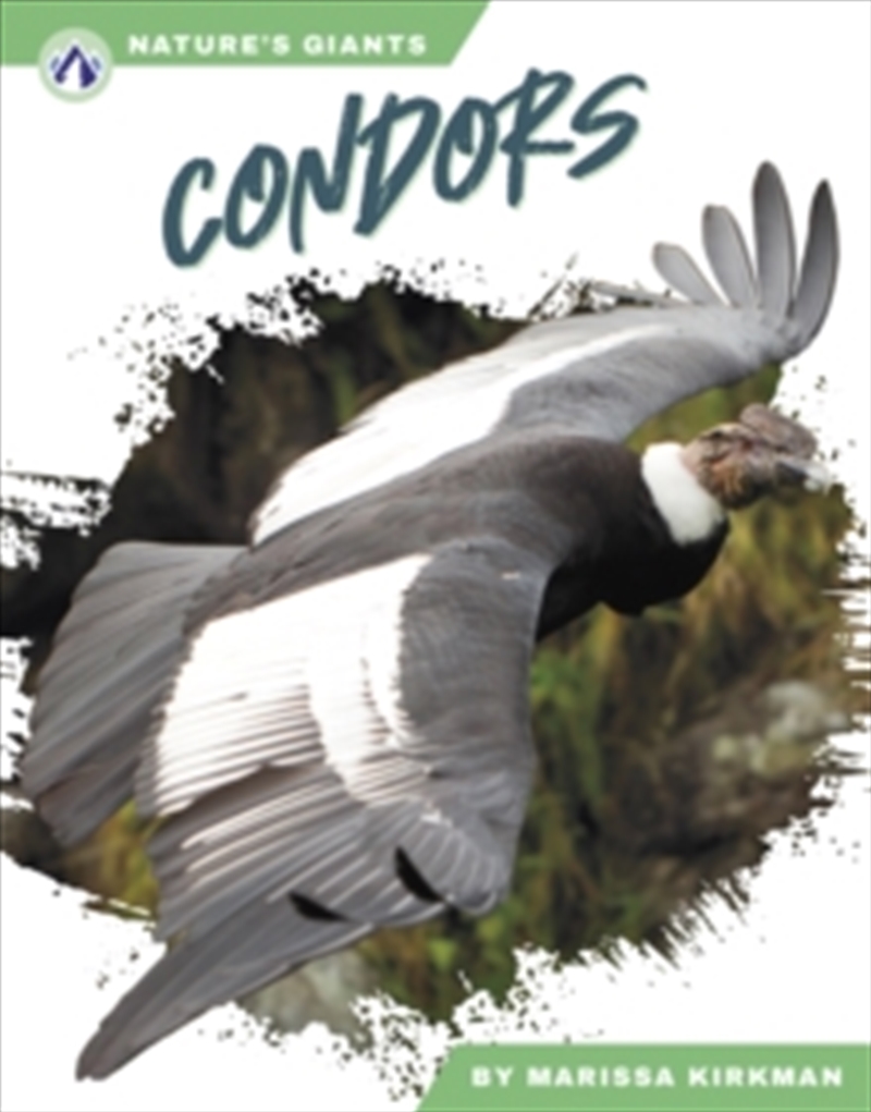 Condors/Product Detail/Childrens