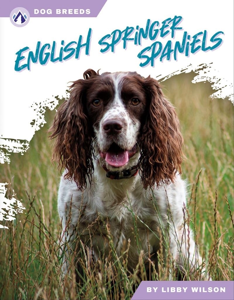 English Springer Spaniels (Dog Breeds)/Product Detail/Childrens