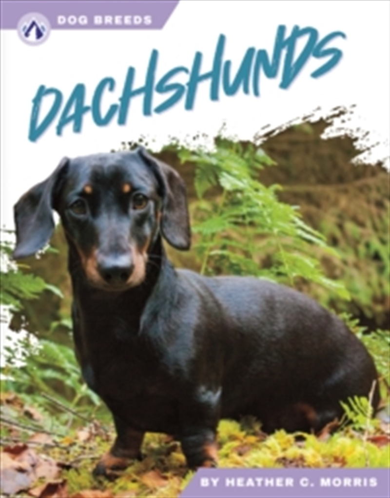 Dachshunds/Product Detail/Childrens