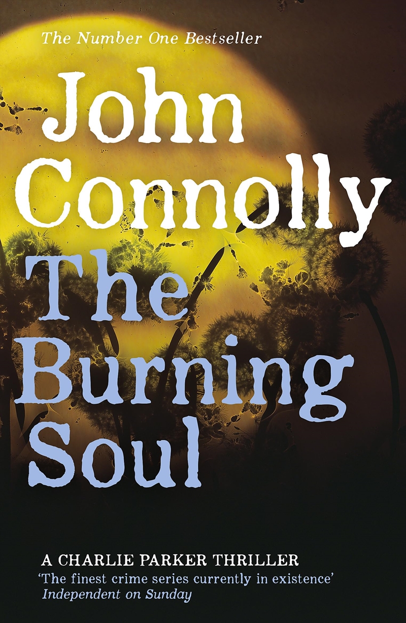 Burning Soul/Product Detail/Crime & Mystery Fiction