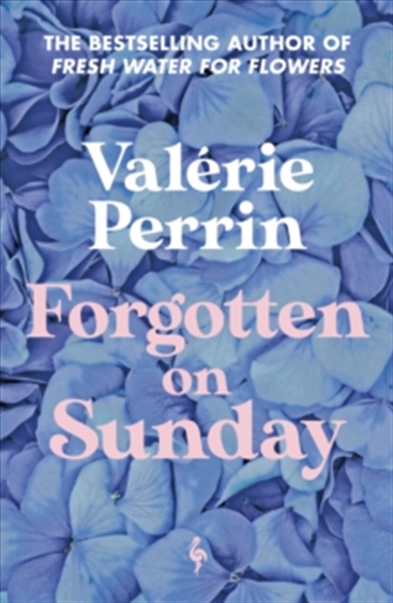 Forgotten On Sunday/Product Detail/General Fiction Books