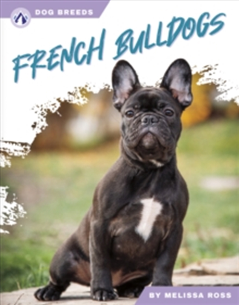 French Bulldogs/Product Detail/Childrens