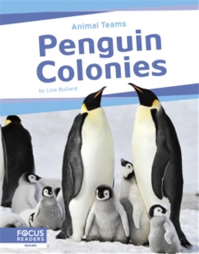 Penguin Colonies/Product Detail/Childrens