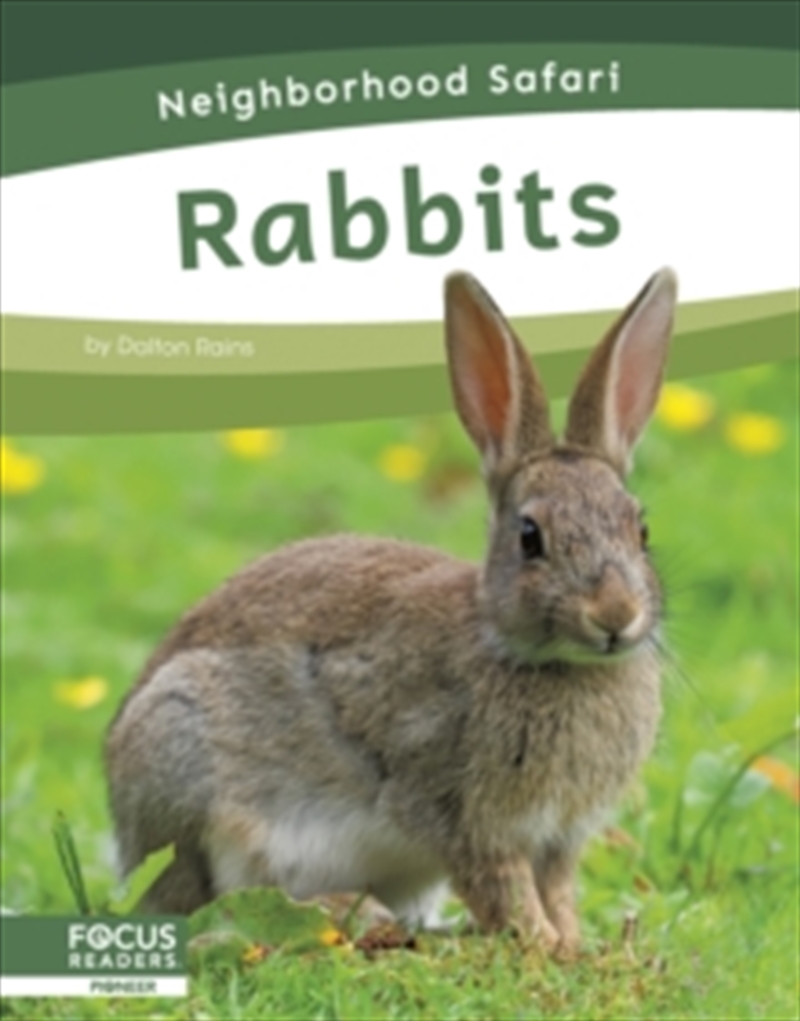 Rabbits/Product Detail/Childrens
