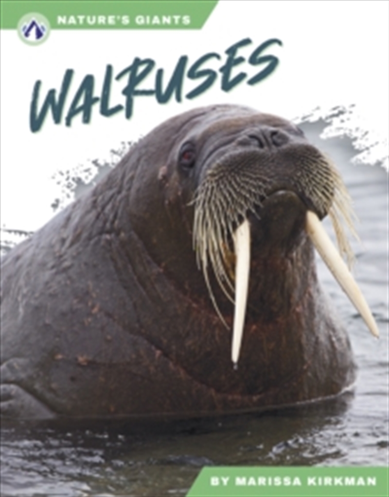 Walruses/Product Detail/Childrens