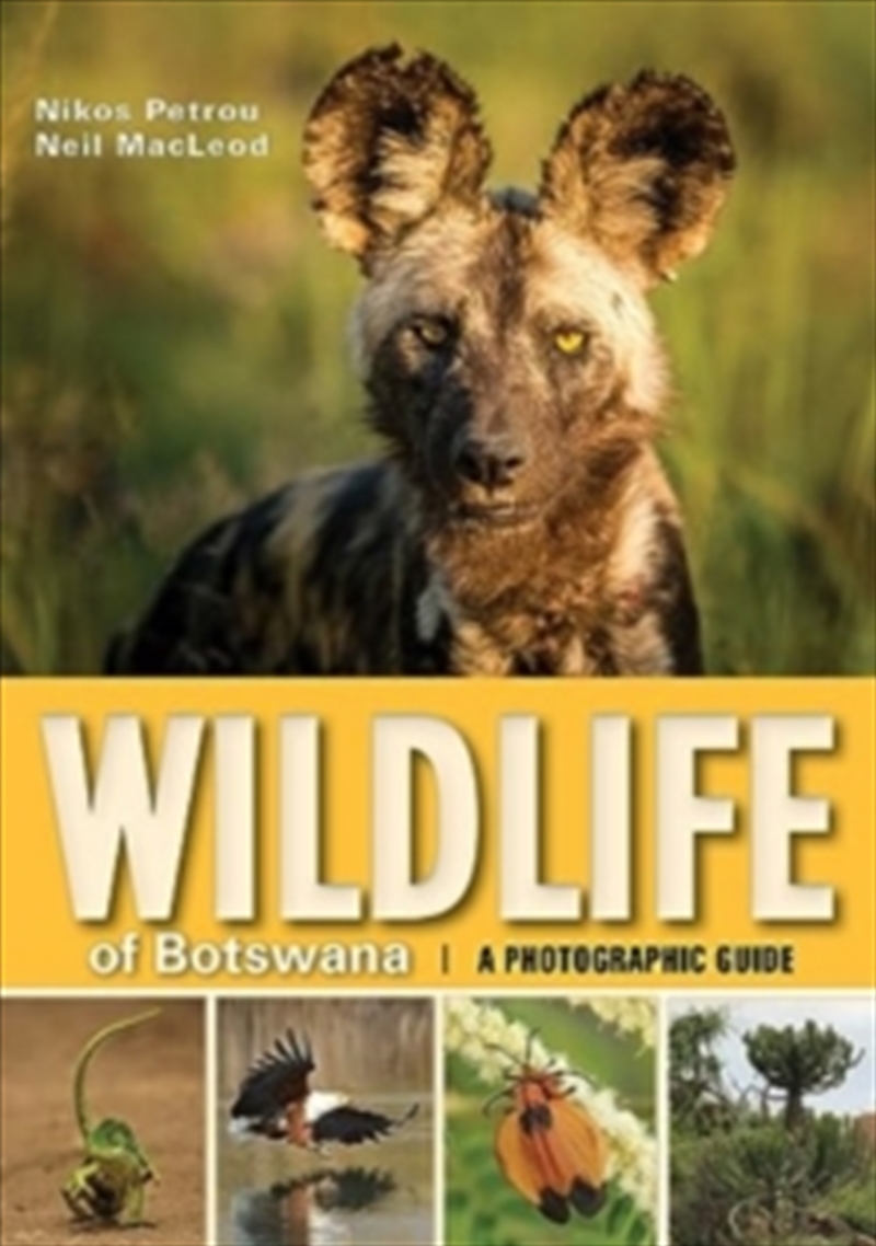 Wildlife Of Botswana/Product Detail/Animals & Nature