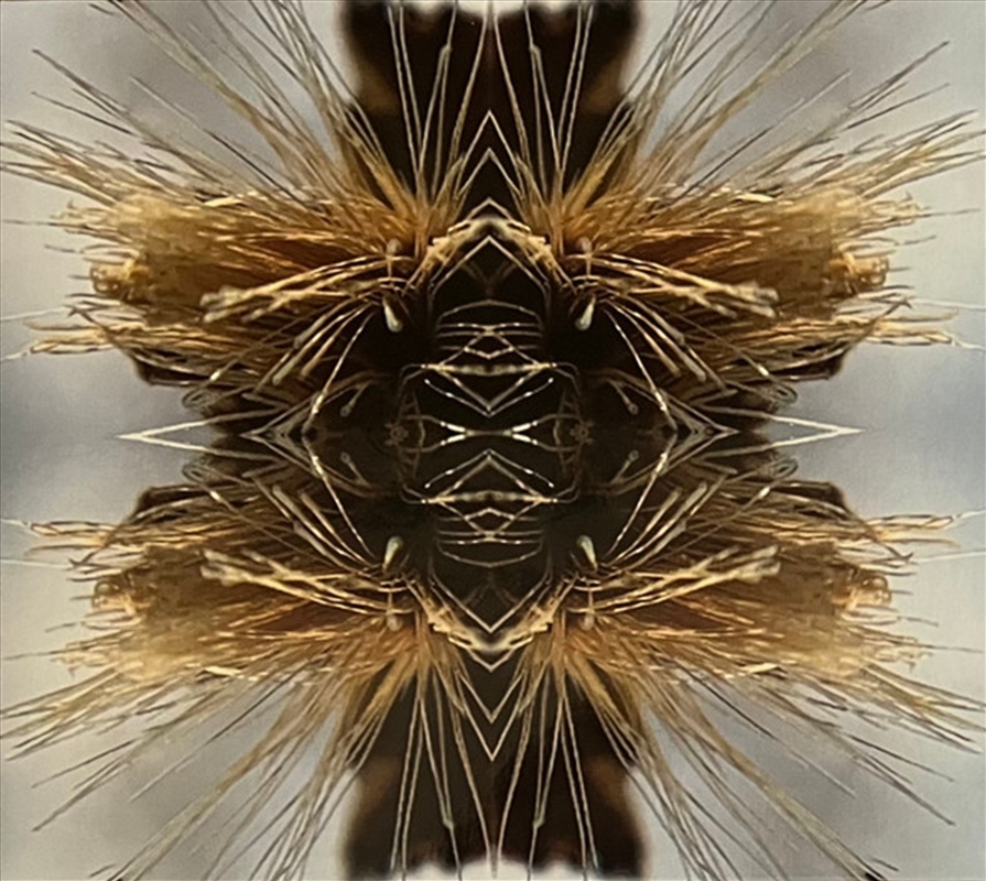 Sutra/Product Detail/Rock/Pop