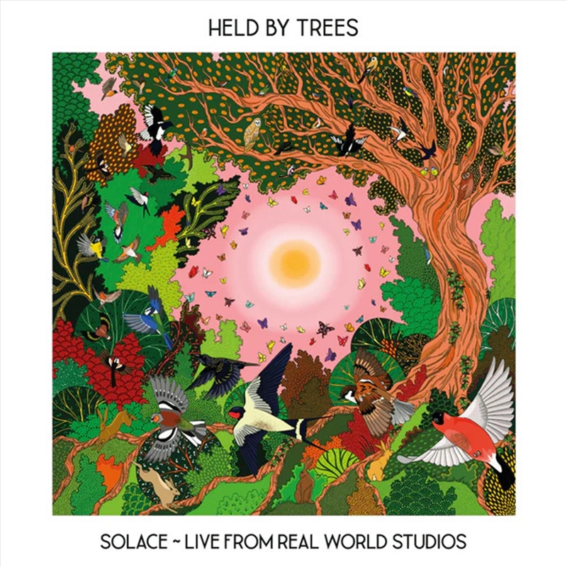 Solace - Live From Real World/Product Detail/Rock/Pop