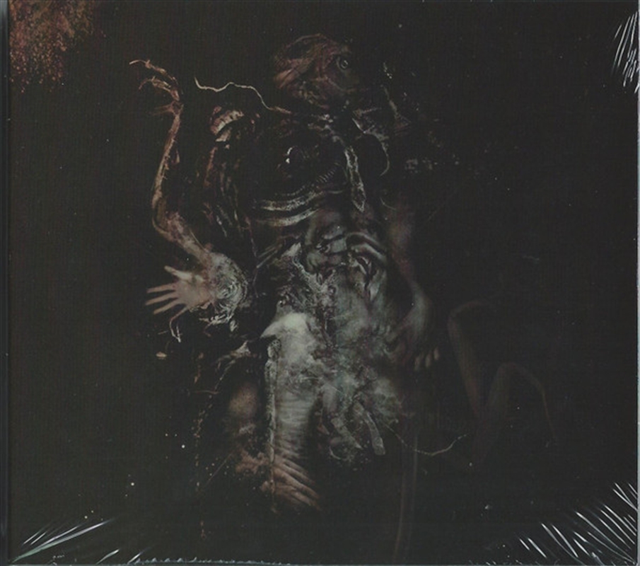 Malivore/Product Detail/Rock/Pop