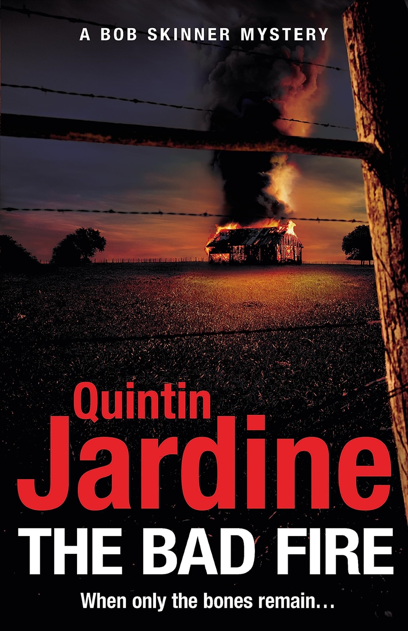The Bad Fire (Bob Skinner Series, Book 31)/Product Detail/Crime & Mystery Fiction
