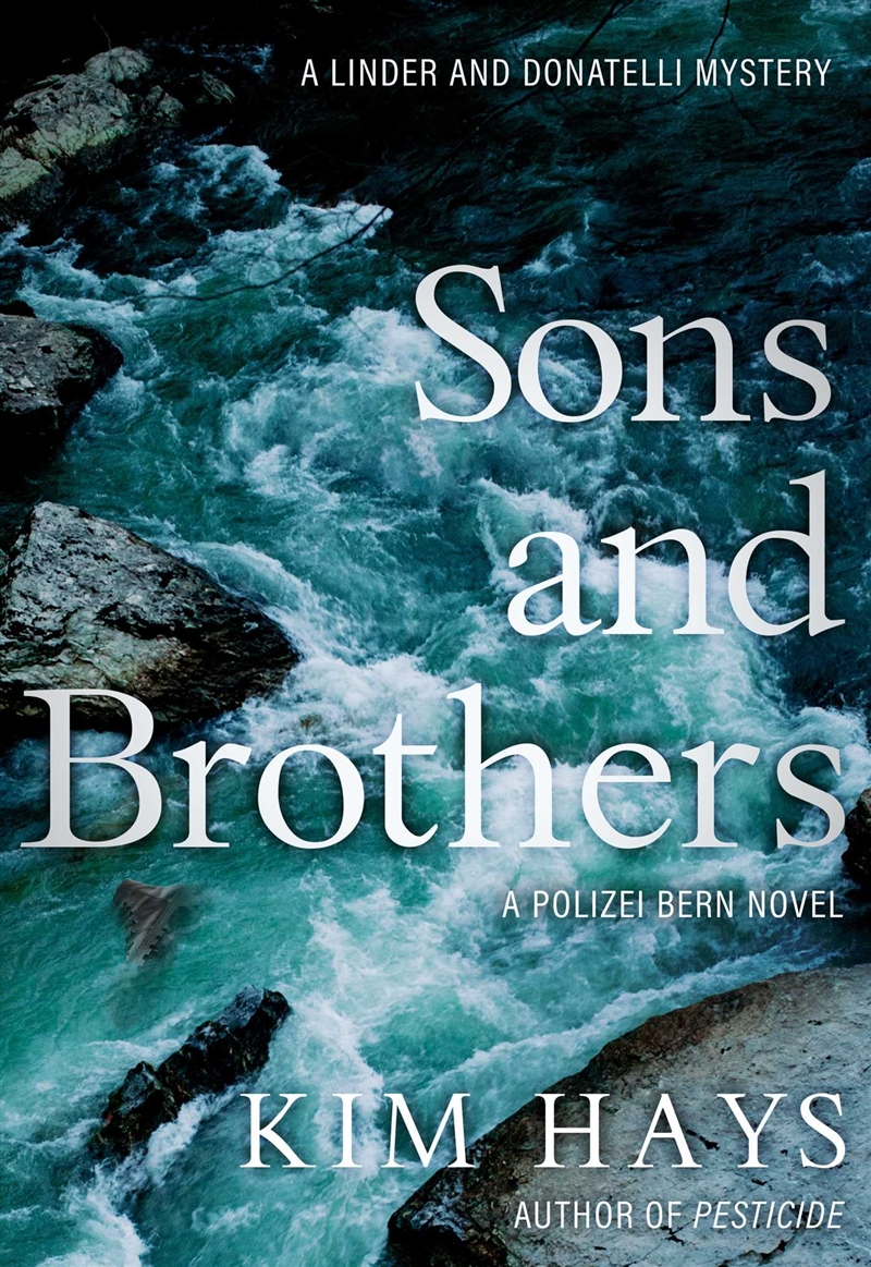 Sons And Brothers (Polizei Bern)/Product Detail/Crime & Mystery Fiction