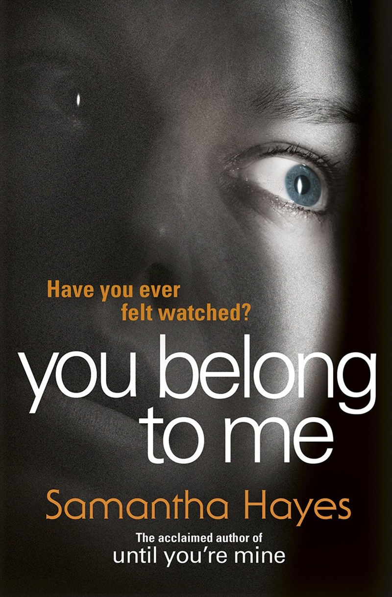You Belong To Me/Product Detail/Crime & Mystery Fiction