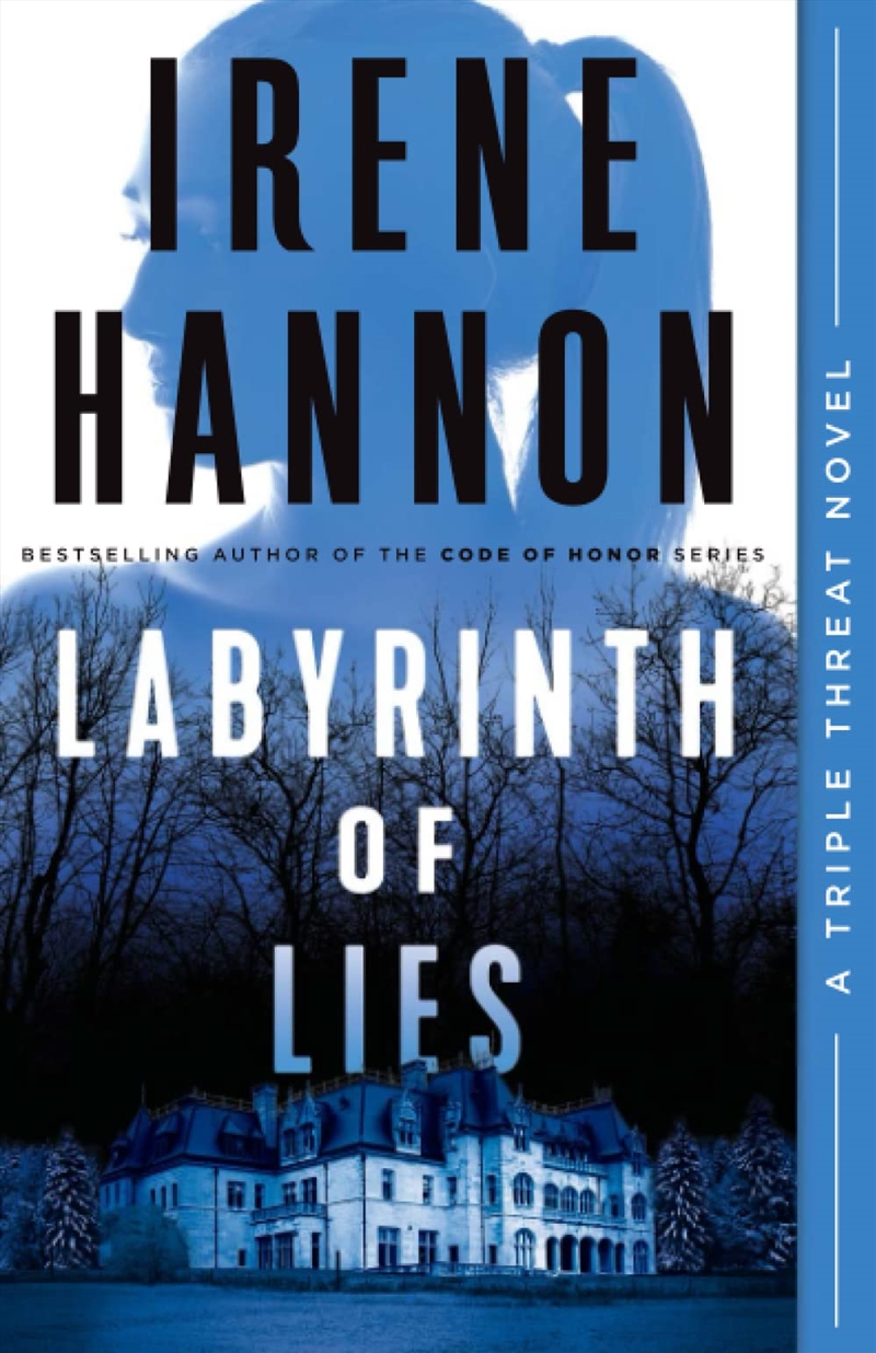 Labyrinth Of Lies/Product Detail/Crime & Mystery Fiction