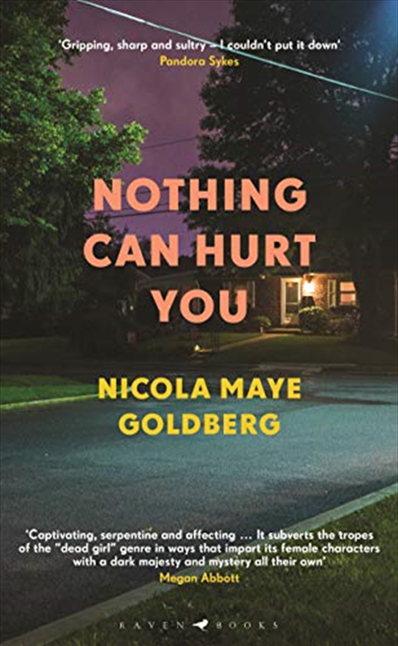 Nothing Can Hurt You/Product Detail/Crime & Mystery Fiction