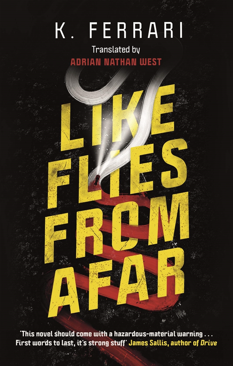 They Look Like Flies From Afar/Product Detail/Crime & Mystery Fiction