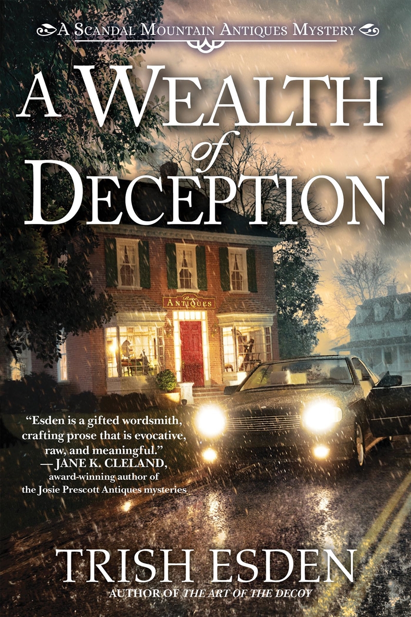 A Wealth Of Deception (A Scandal Mountain Antiques Mystery)/Product Detail/Crime & Mystery Fiction