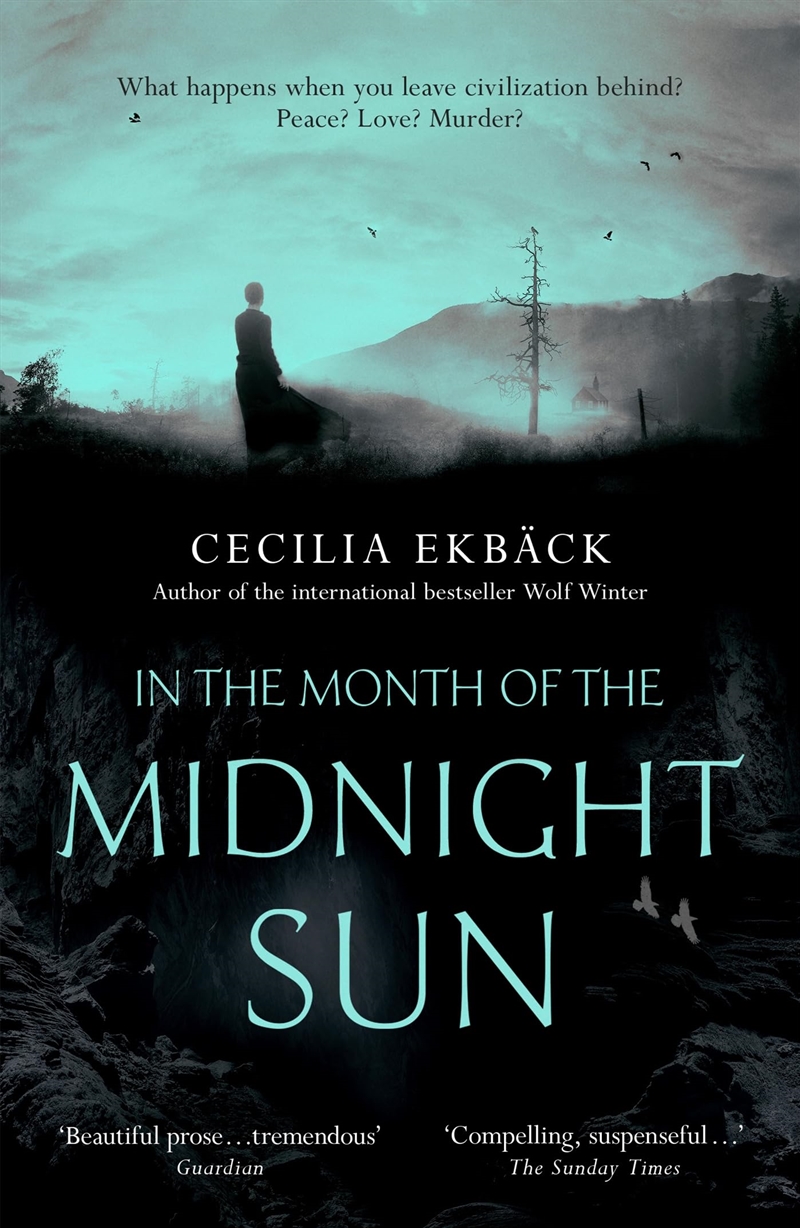 In The Month Of The Midnight Sun/Product Detail/Crime & Mystery Fiction