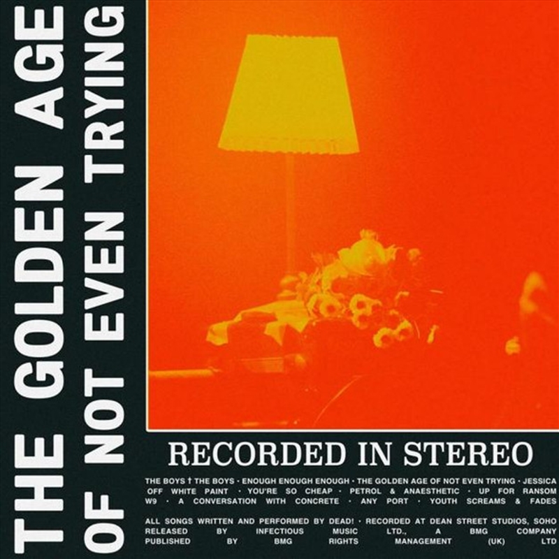 The Golden Age Of Not Even Trying/Product Detail/Rock/Pop