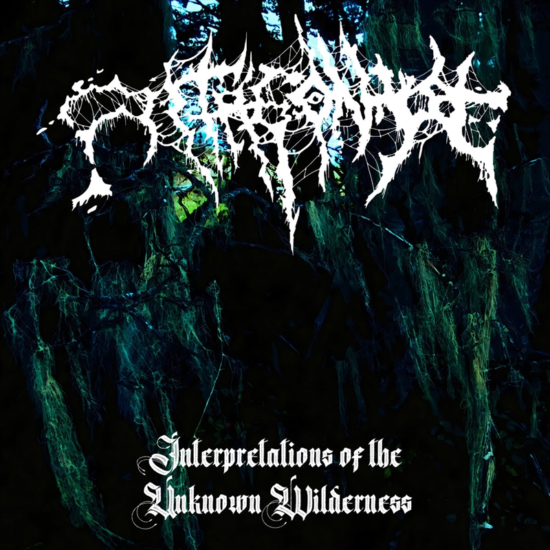 Interpretations Of The Unknown Wilderness/Product Detail/Rock/Pop