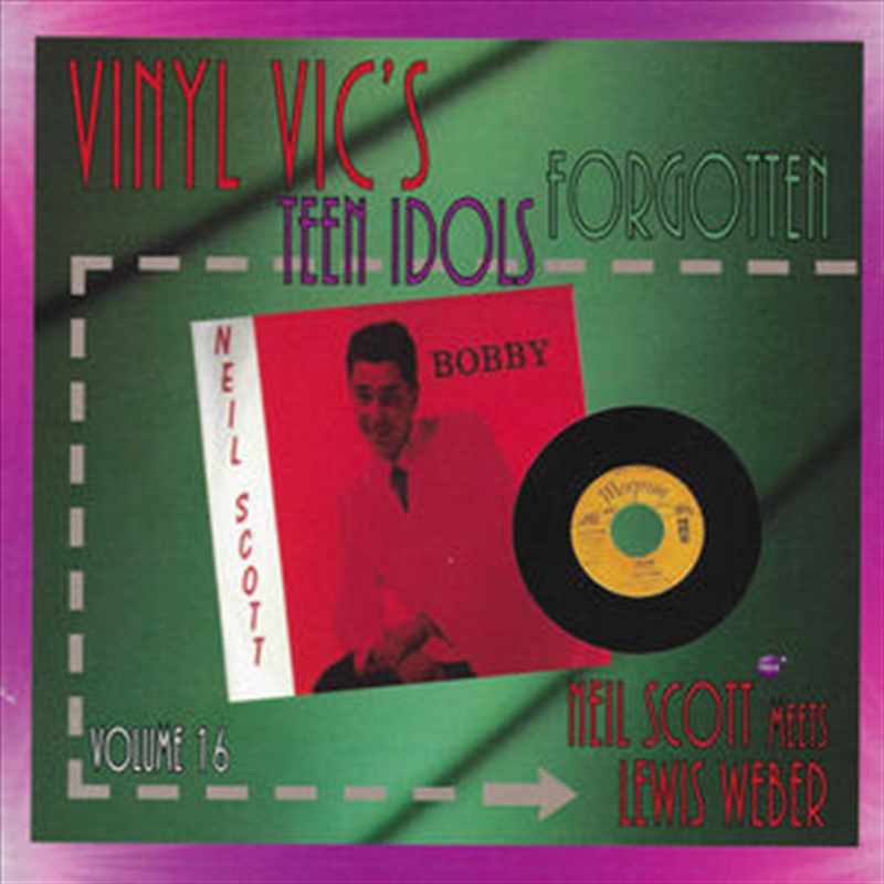 Vinyl Vic's Forgotten Teen Idols 16/Product Detail/Rock/Pop