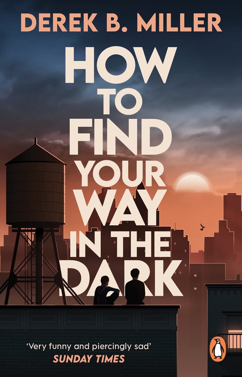 How To Find Your Way In The Dark/Product Detail/Crime & Mystery Fiction
