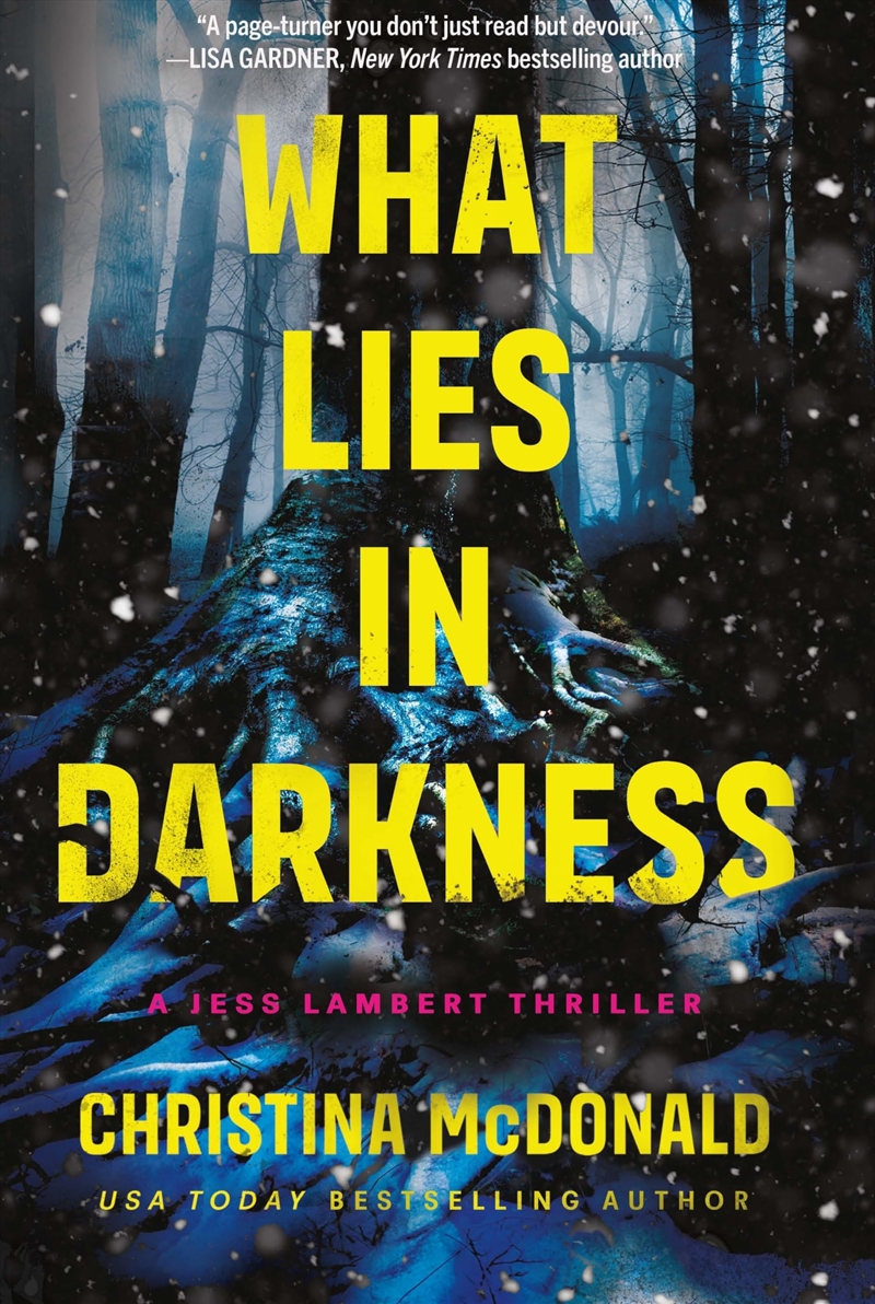 What Lies In Darkness (Jess Lambert)/Product Detail/Crime & Mystery Fiction
