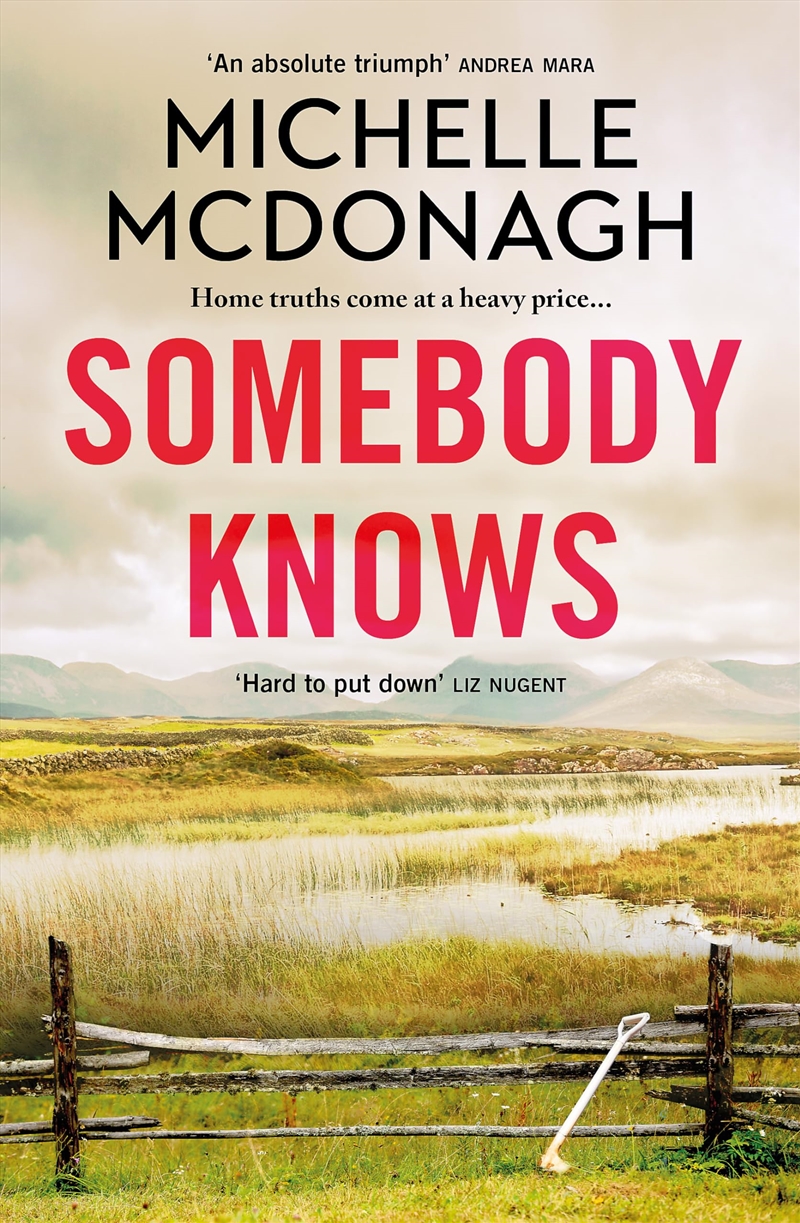 Somebody Knows/Product Detail/Crime & Mystery Fiction