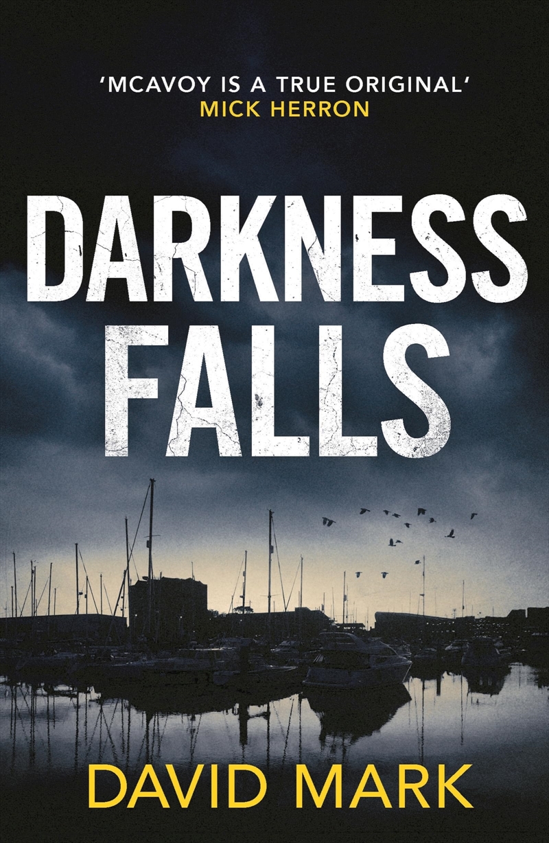 Darkness Falls (Detective Sergeant Mcavoy)/Product Detail/Crime & Mystery Fiction