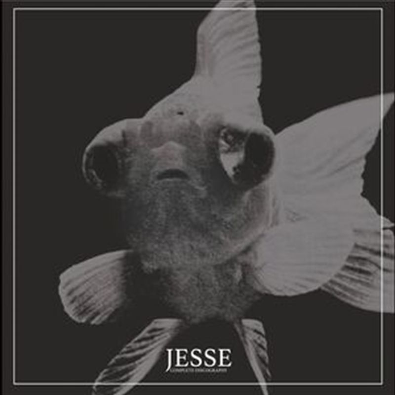 Complete Discography/Product Detail/Rock/Pop