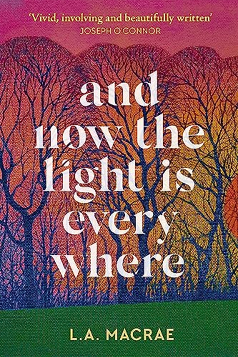 And Now The Light Is Everywhere (Hardcover)/Product Detail/Crime & Mystery Fiction