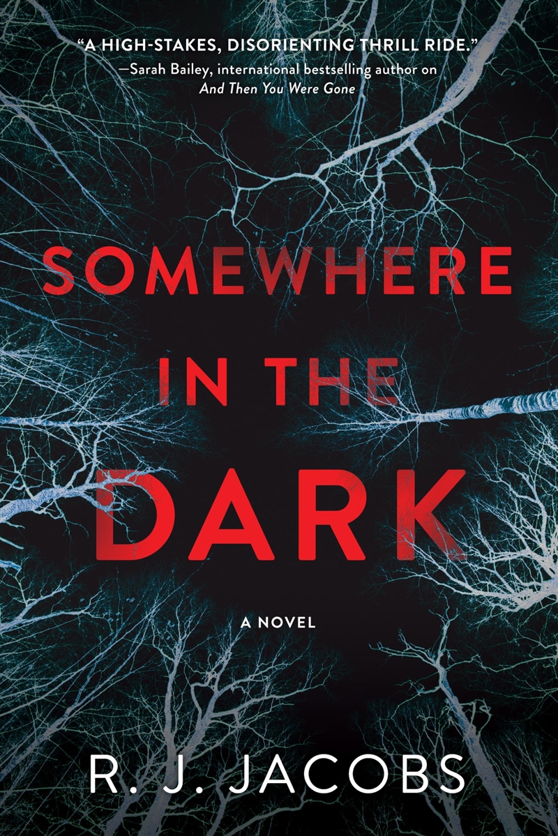 Somewhere In The Dark: A Novel/Product Detail/Crime & Mystery Fiction