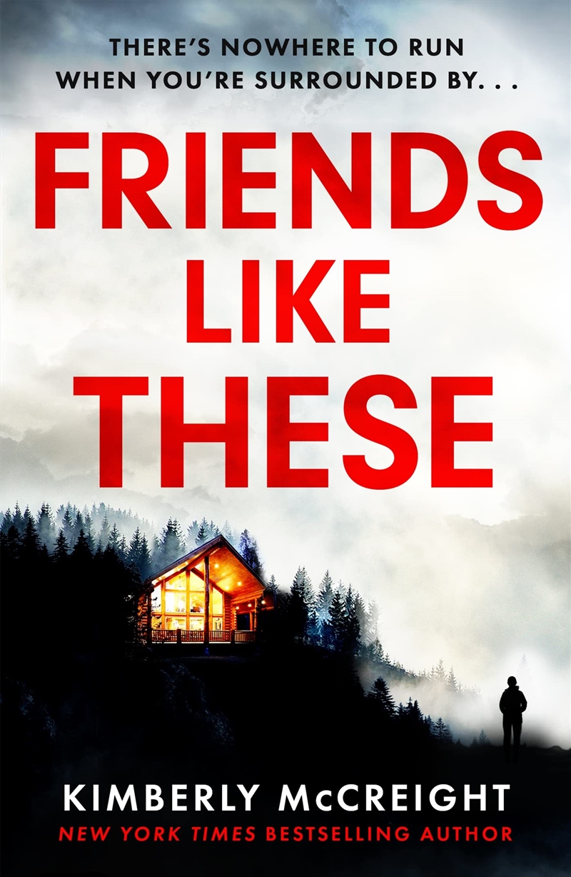 Friends Like These: How Well Do You Really Know Your Friends?/Product Detail/Crime & Mystery Fiction