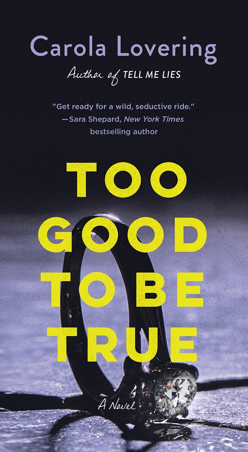 Too Good To Be True: A Novel/Product Detail/Crime & Mystery Fiction